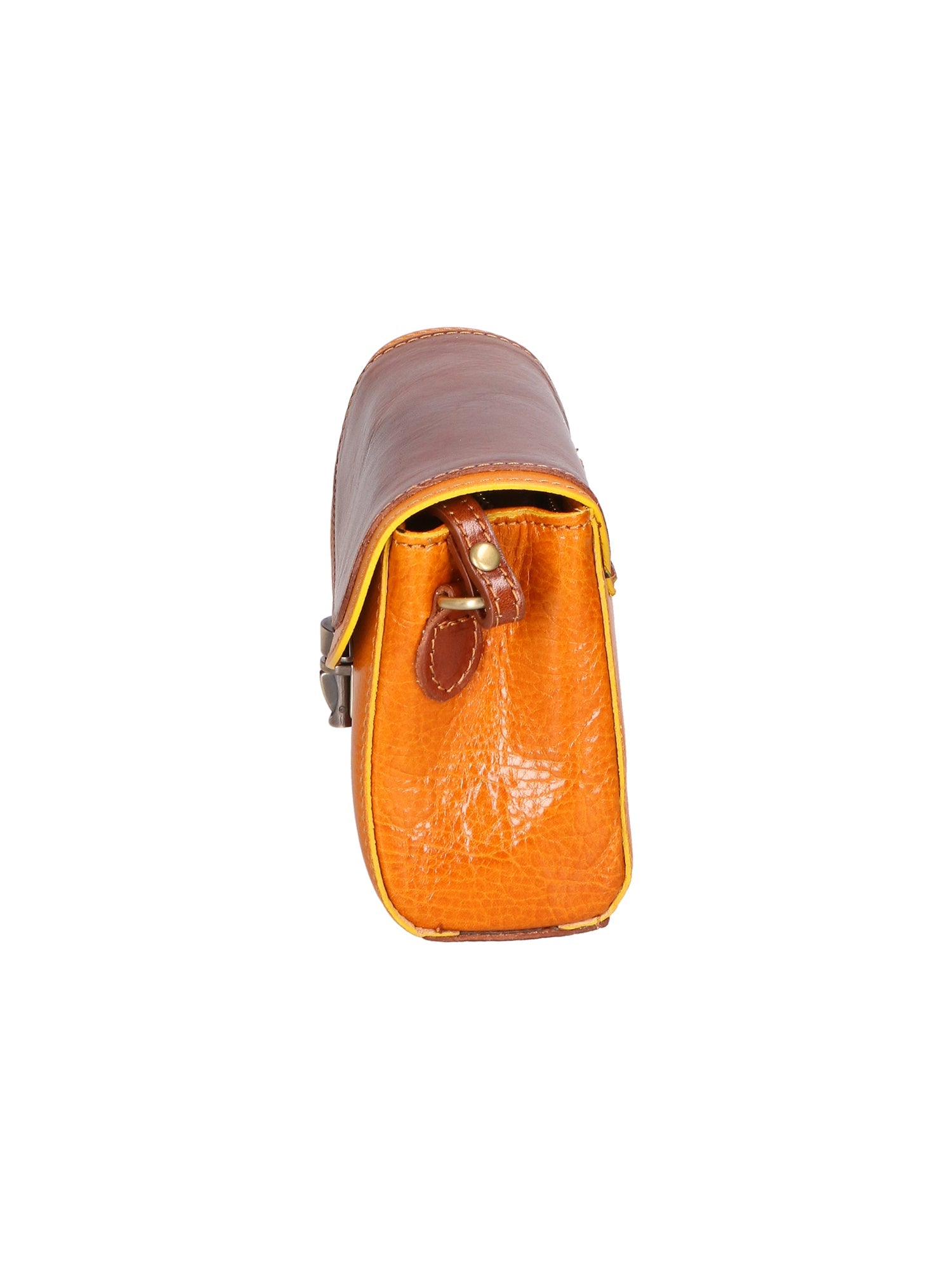 07118-GIALLO + MARRONE Chiara Ferretti