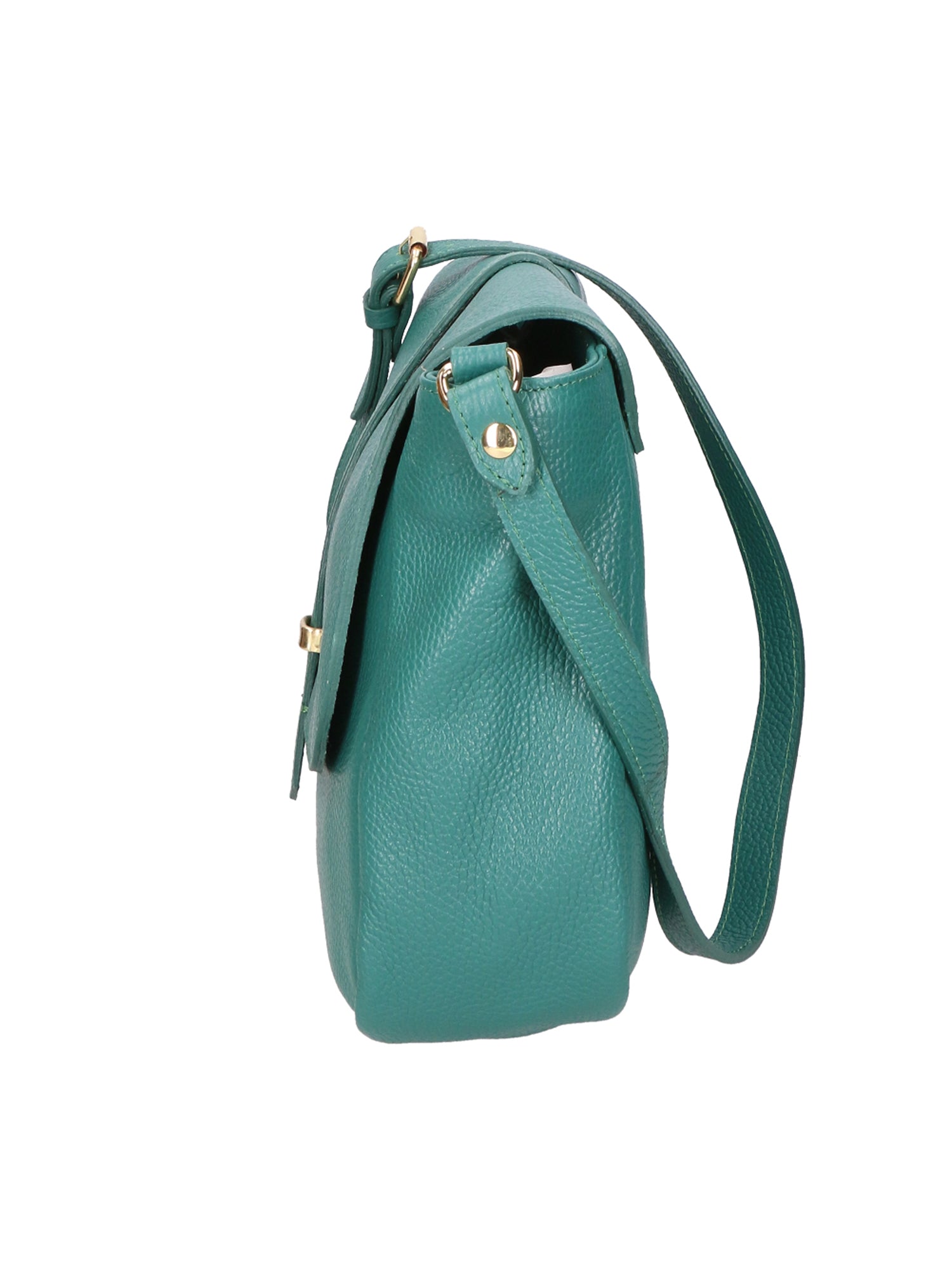 Veronica Borsa a spalla da donna Vera pelle 06519-D91 PAVONE Chiara Ferretti