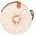 Crossbody bag - Chiara Ferretti