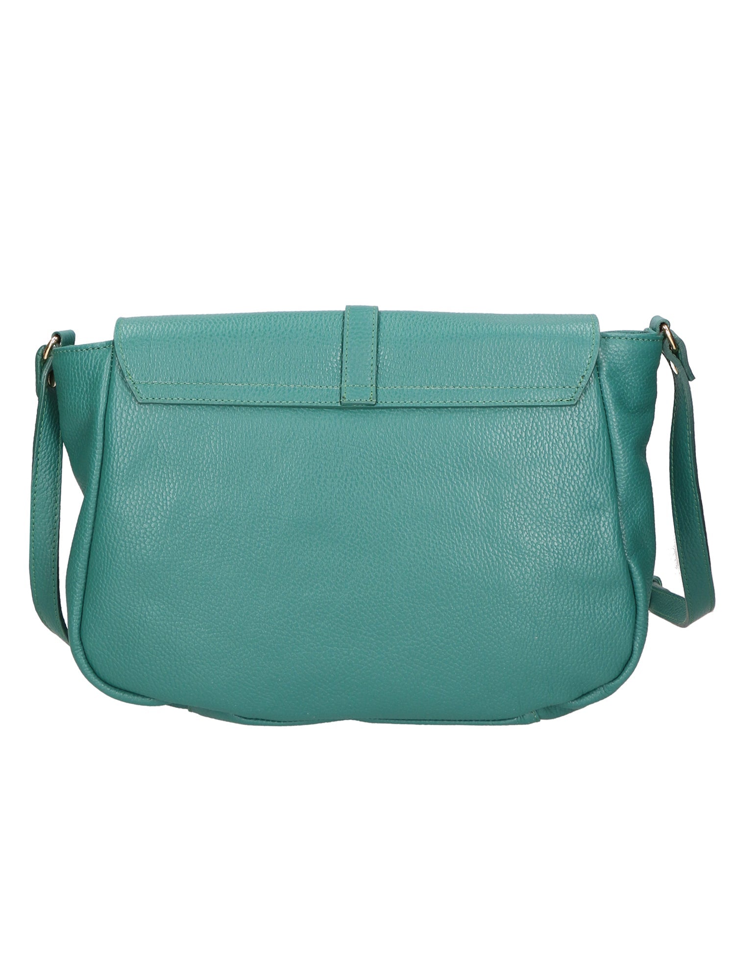 Veronica Borsa a spalla da donna Vera pelle 06519-D91 PAVONE Chiara Ferretti