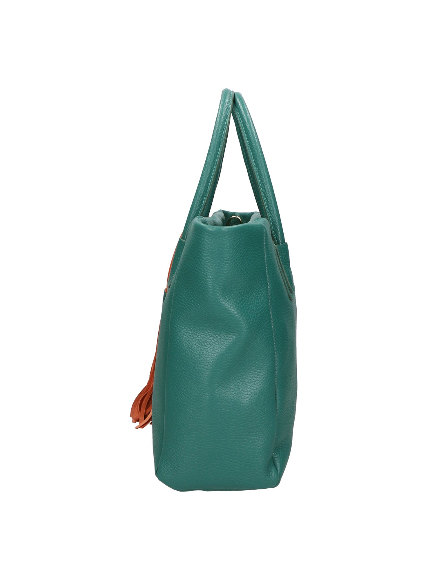 Rosalie Borsa a spalla da donna 100% pelle 06503-D91 PAVONE Chiara Ferretti