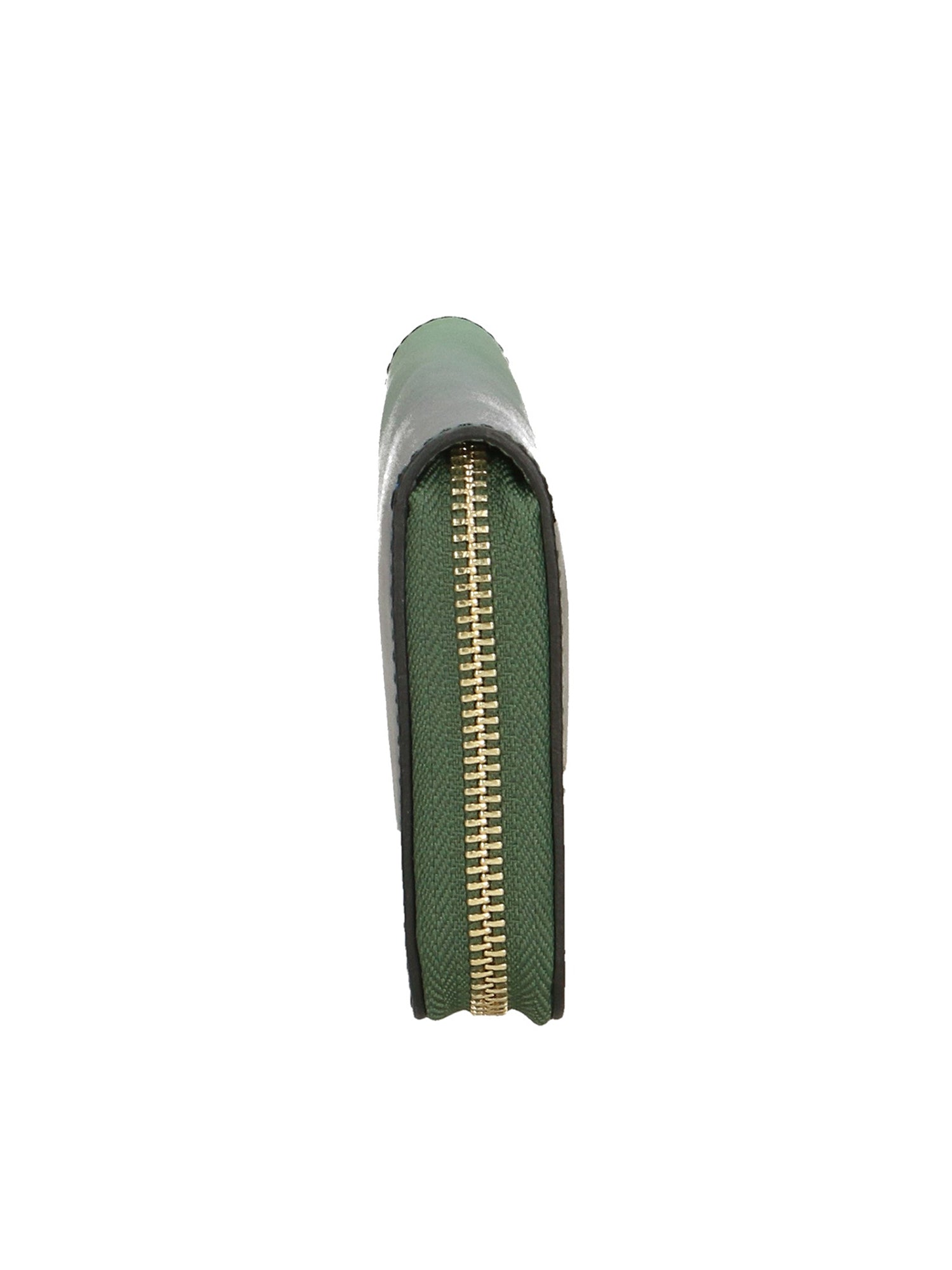 Orsola 01783-L160 VERDE Portafoglio donna in vera pelle Chiara Ferretti
