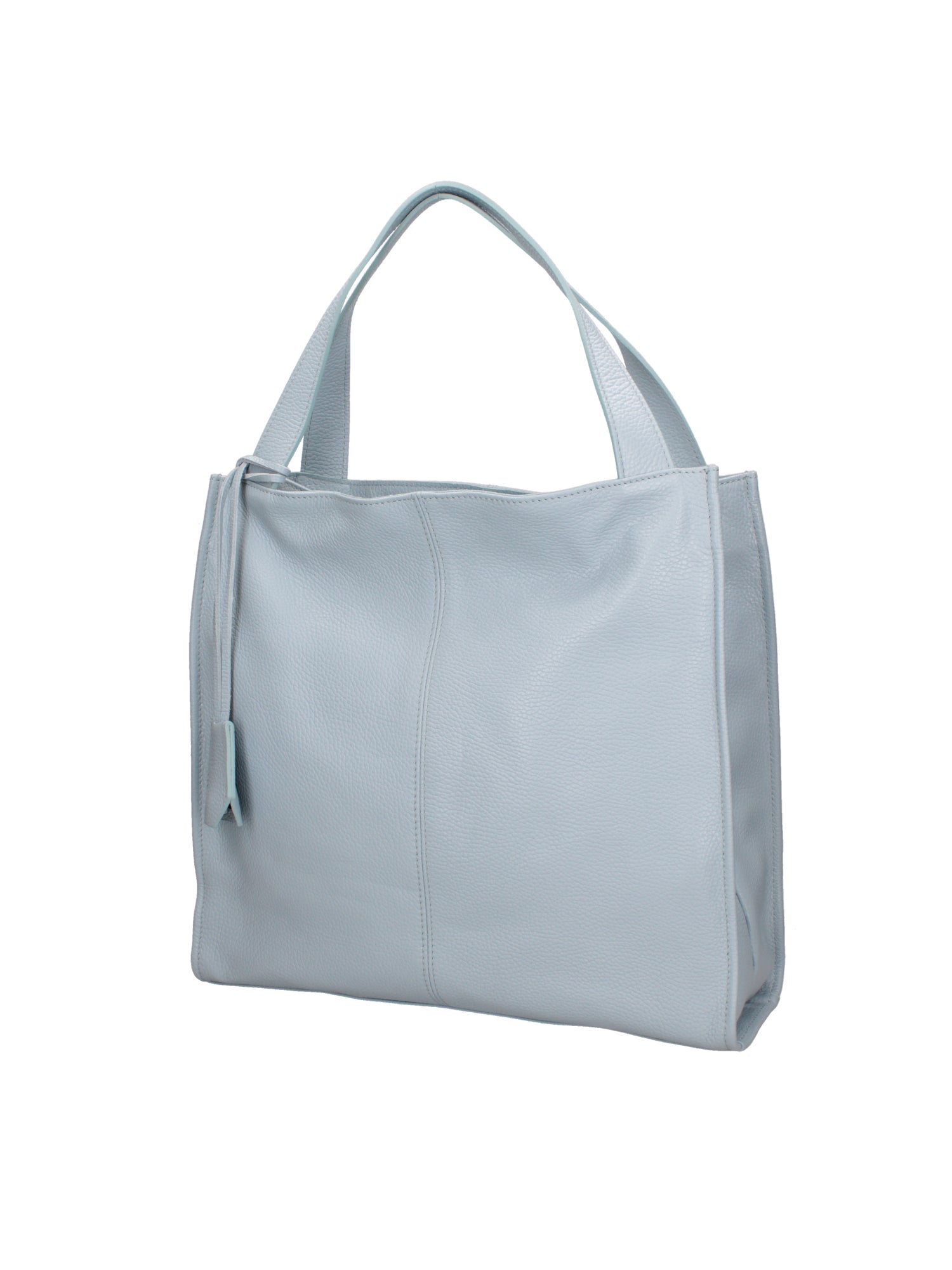 Aelia Borsa a spalla da donna Vera pelle 3312-D92 CELESTE Chiara Ferretti
