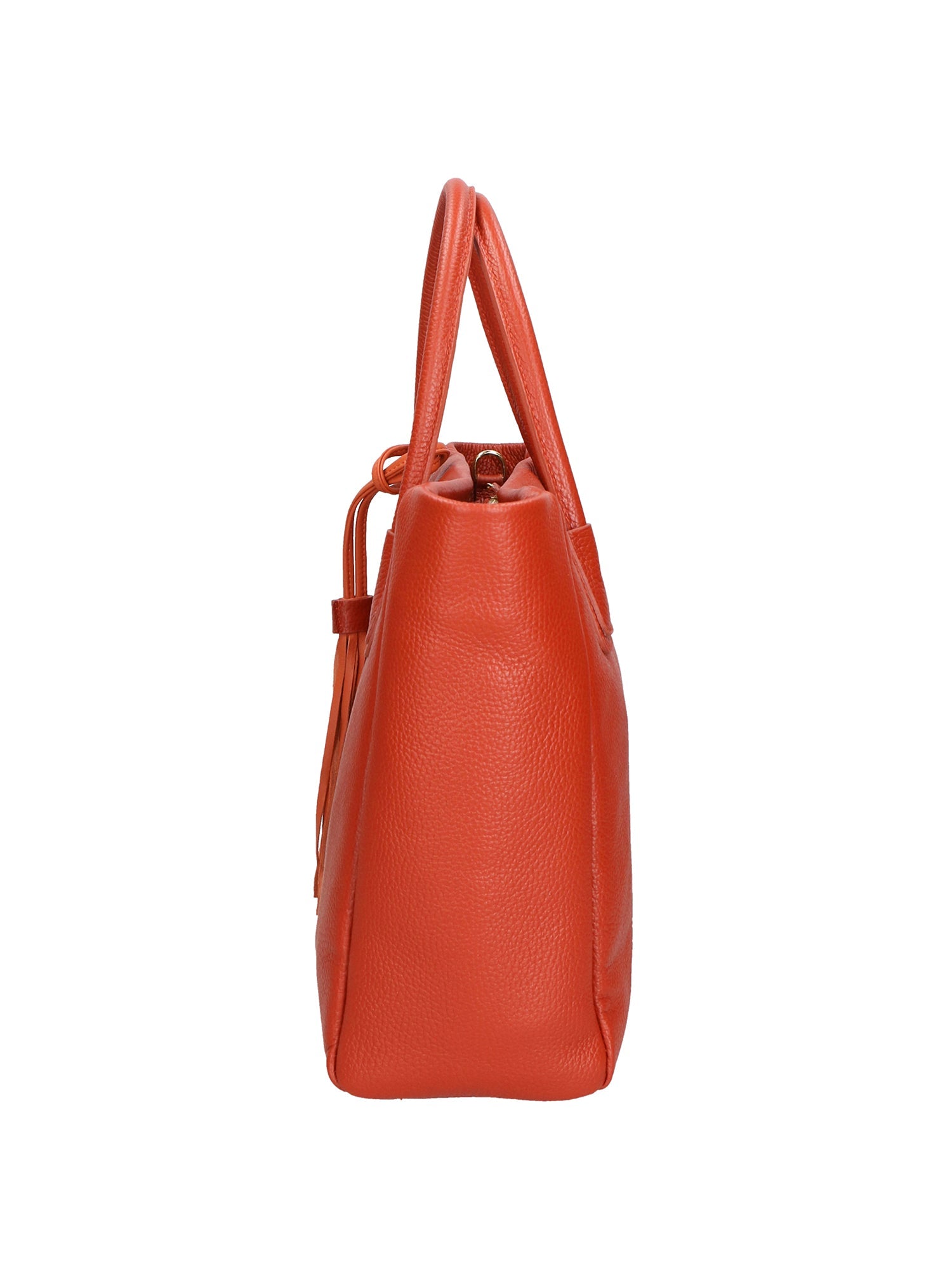 Rosalie Borsa a spalla da donna 100% pelle 06503-D61 MATTONE(HP) Chiara Ferretti