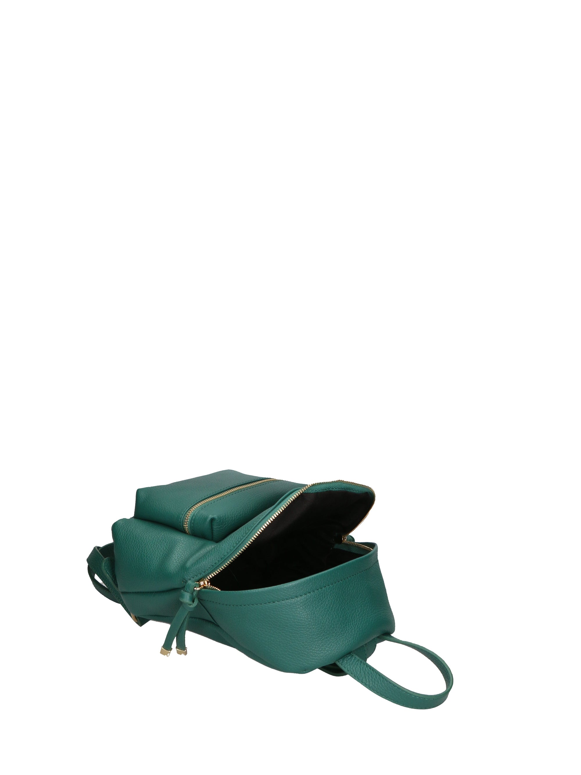 Liriope Borsa a mano da donna Vera Pelle 06515-D91 PAVONE Chiara Ferretti
